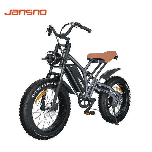 Jansno X50 Fat Tire E-bikes, 20 x 4.0 Electric Bike for Adults with 750W Motor 48V 14Ah Removable Battery Ebike Mountain Bicycle